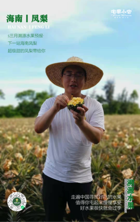 瓜熟蒂落的熟果才是自然的本真·树上熟凤梨