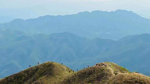 户外@【高山杜鹃·天露山】新兴天露山杜鹃1天 商品图6