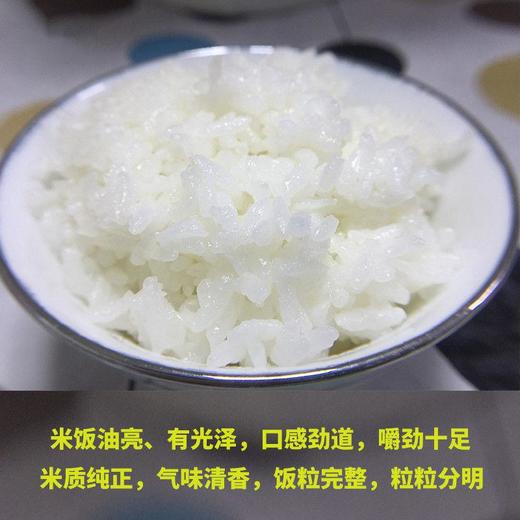 【樱木仙稻-快递代发】乔府大院五优香米5kg （真空） 商品图6