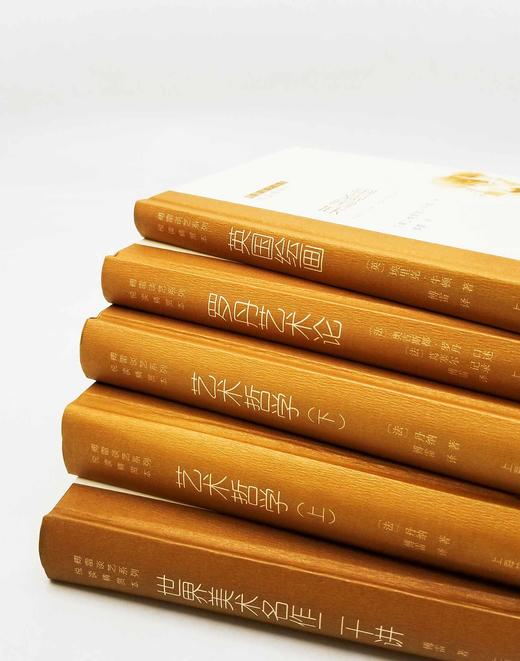 《傅雷谈艺系列:世界美术名作二十讲、艺术哲学（上下）、罗丹艺术论、英国绘画》（全五册），32开精装彩图版，傅雷注译，上海书画出版社2017出版，定价329，售价160元。 商品图2