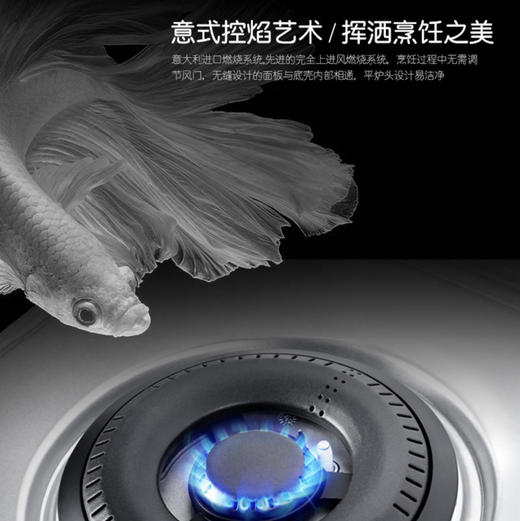 卡萨帝（Casarte）灶具 JZT-CG17D3(12T) 商品图4