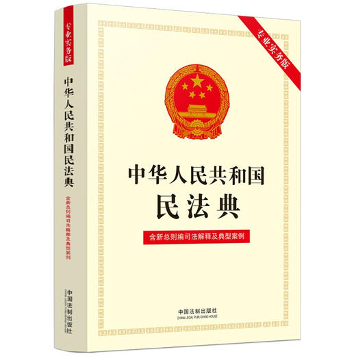 中华人民共和国民法典 专业实务版 中国法制出版社 著 法律 商品图1