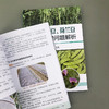 豇豆、菜豆、荷兰豆栽培关键问题解析 商品缩略图4