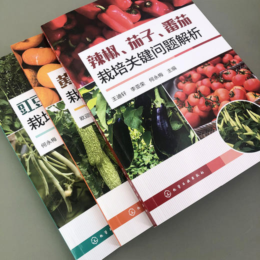 豇豆、菜豆、荷兰豆栽培关键问题解析 商品图12