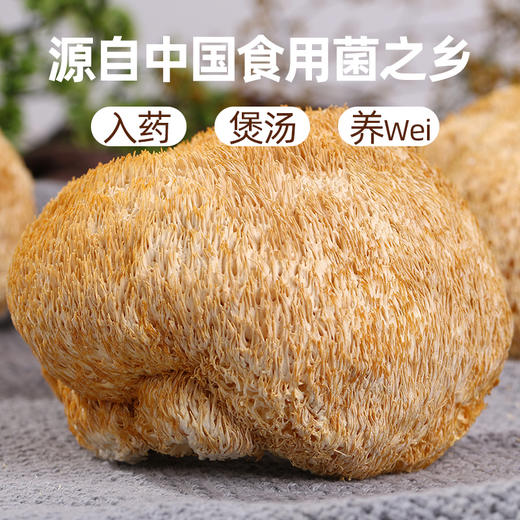 【国庆正常发货】【养胃膳食】在菌屋 东北猴头菇干货120g/袋 商品图1