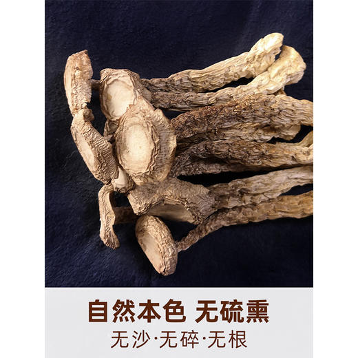 【鹿茸菇干货•无根】野生 云南土特产 鹿茸菌 煲汤食材 商品图2