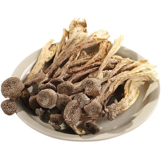 【鹿茸菇干货•无根】野生 云南土特产 鹿茸菌 煲汤食材 商品图1