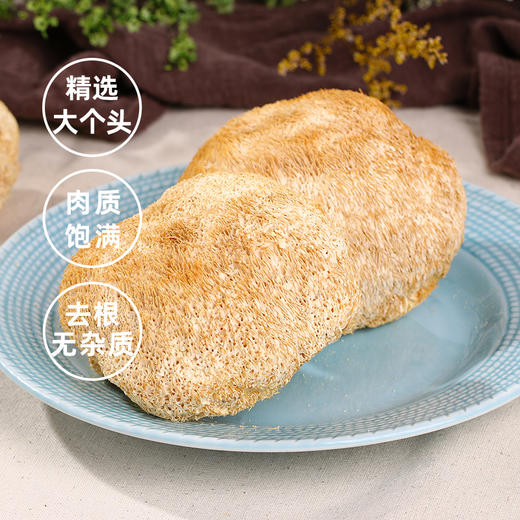 【养胃膳食】在菌屋 东北猴头菇干货120g/袋 商品图0