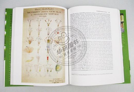 牛津图解科学史 英文原版 The Oxford Illustrated History of Science 牛津插图史系列 英文版进口原版英语书籍 商品图2