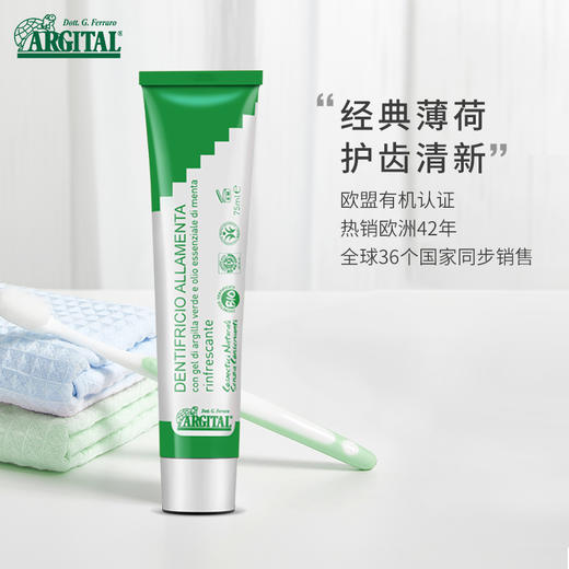 雅琪朵天然绿泥薄荷牙膏 75ML/支 商品图1