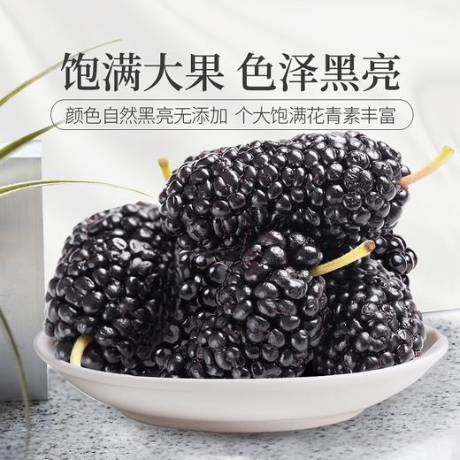 庄民 桑葚干 黑桑椹子桑果子 大颗粒 精选好货无沙 甜度高 花草茶泡酒泡水110g/罐 商品图1