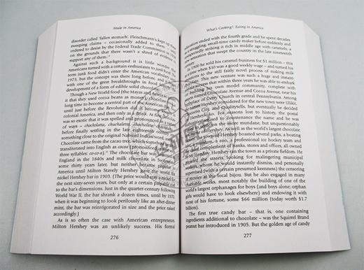 美国制造 英文原版 Made In America 英版 论美国英语 英语简史姊妹篇 万物简史作者比尔布莱森 Bill Bryson 英文版进口原版书籍 商品图2