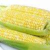 【云南水果玉米】皮薄脆嫩、颗粒饱满、口感鲜甜、健康营养 商品缩略图4