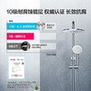 A.O.史密斯花洒淋浴器套装 FS-02G 商品缩略图4