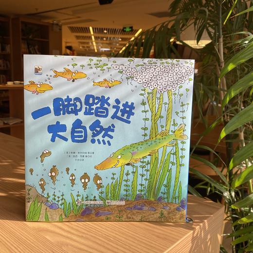 一脚踏进大自然（ 全15册） 2岁+  培养孩子观察力 激发孩子探索欲 经典科普启蒙绘本 商品图2