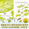 一脚踏进大自然（ 全15册） 2岁+  培养孩子观察力 激发孩子探索欲 经典科普启蒙绘本 商品缩略图7