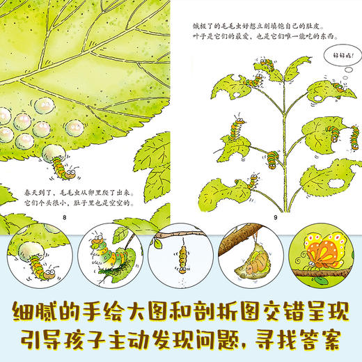 一脚踏进大自然（ 全15册） 2岁+  培养孩子观察力 激发孩子探索欲 经典科普启蒙绘本 商品图7