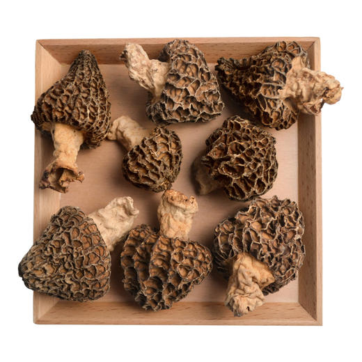 优选丨在菌屋 野生羊肚菌干货50g  野外采摘 自然晾干 商品图1