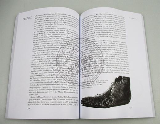 牛津图解维京人历史 英文原版 The Oxford Illustrated History of the Vikings 牛津插图史系列 英文版进口原版英语书籍 商品图1