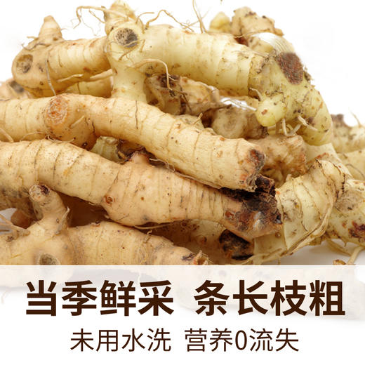 【国庆正常发货】在菌屋 无硫野生玉竹片100g 商品图3