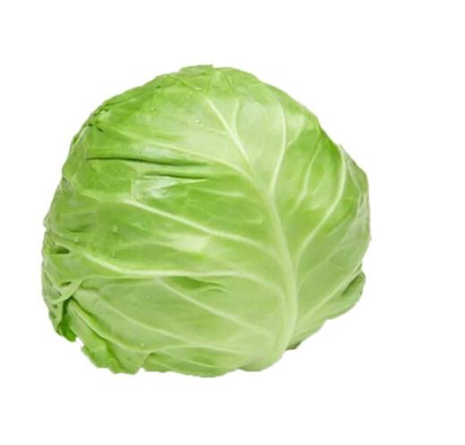 圆白菜  约3-4斤/颗 【BC】【DN】 商品图0
