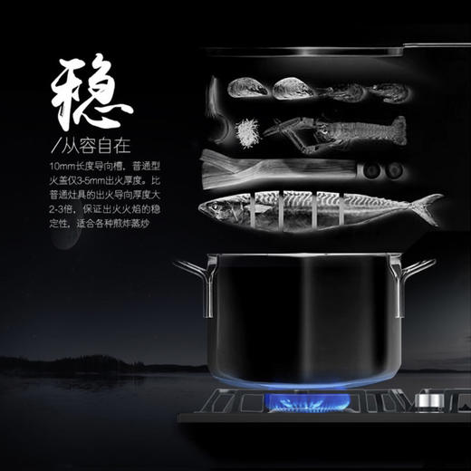 卡萨帝（Casarte）灶具 JZT-CG17D3(12T) 商品图8