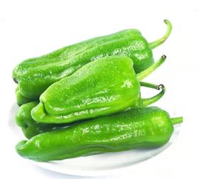 青椒  约500g 【BC】【DN】