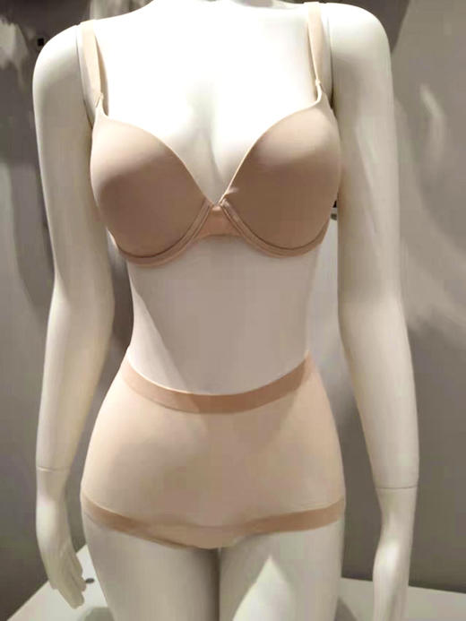 Wolford 69574薄纱高腰收腹平角内裤 商品图0