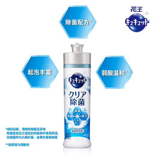 花王洗洁精(除菌型)  西柚香 240ml*2 商品图2