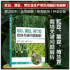 豇豆、菜豆、荷兰豆栽培关键问题解析 商品缩略图0