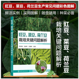 豇豆、菜豆、荷兰豆栽培关键问题解析
