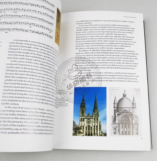 关于美 美的历史 英文原版 On Beauty 艺术 美学 翁贝托艾柯 英文版进口原版英语书籍 商品图1