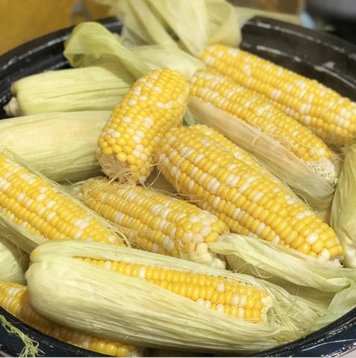 【云南水果玉米】皮薄脆嫩、颗粒饱满、口感鲜甜、健康营养 商品图2