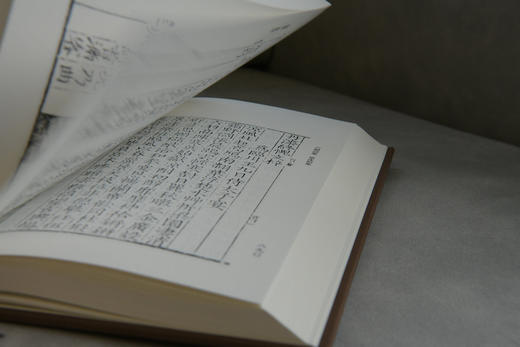 【布面精装+函套】蛾术丛书·戊戌六君子遗集（影印本，全二册）【古籍】 商品图3