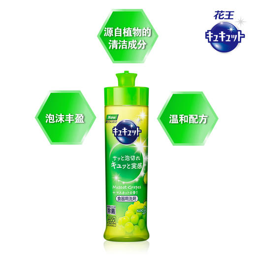 花王洗洁精 葡萄香 240ml*2 商品图2