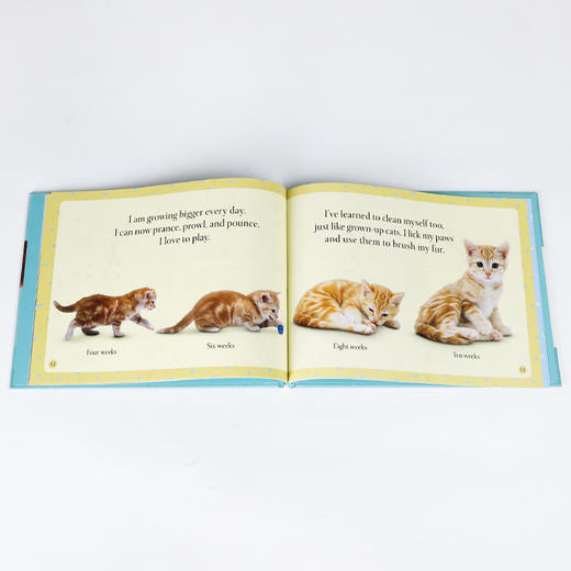 英文原版See How They Grow Pets 看看他们是怎么养宠物的 DK出版儿童动物科普认知百科全书 STEAM读物 3-5岁 商品图1