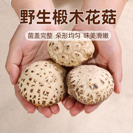 云南椴木大花菇 l 爆花自然 朵大肉厚 不熏不掺不染 菌香浓郁 爽滑弹牙 享有“素鲍鱼”美誉 商品图7