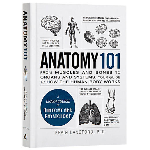 101系列 解剖学 英文原版 Anatomy 101 医学 全英文版 进口英语书籍 商品图1