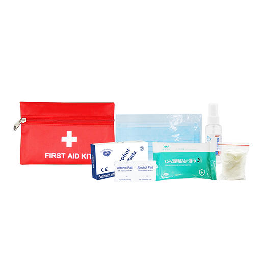 【全民防护】健康防护套装B1 消毒液抑菌湿巾酒精棉片口罩手套收纳包 商品图0