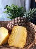 树上熟 金钻凤梨 不仅是甜 更有十足的香爽风味 |百里食 商品缩略图2