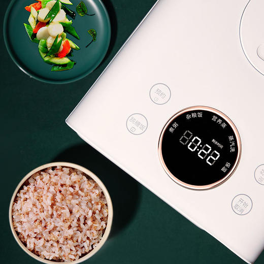 【众筹率达3766%】众筹破1500万的臻米低糖蒸汽养生电饭煲，米汤分离技术，降糖率44% 商品图7