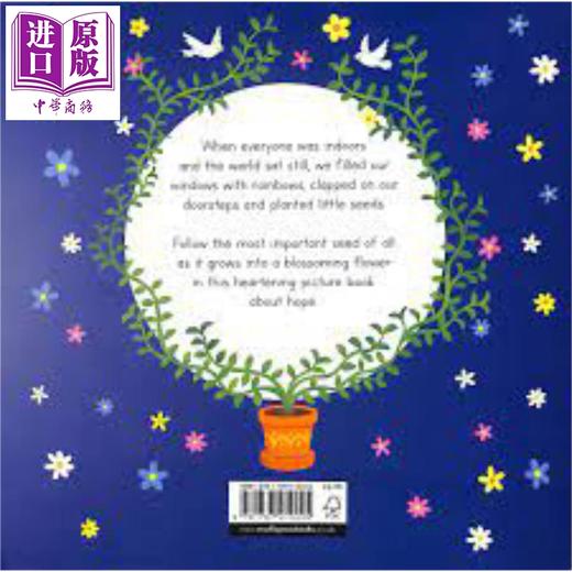 【中商原版】Bao Luu：The Seed 种子 英文原版进口少儿儿童亲子绘本3-6岁 商品图3