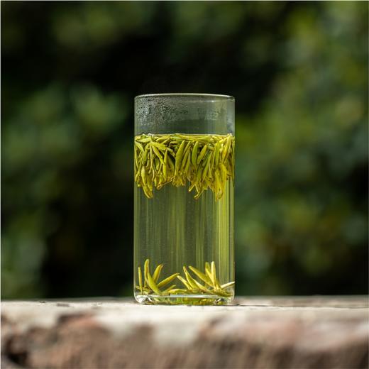 【2025春茶】东裕茗茶明前汉中仙毫绿茶礼盒装208g 商品图1