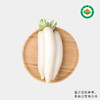 那云那南白萝卜 商品缩略图0