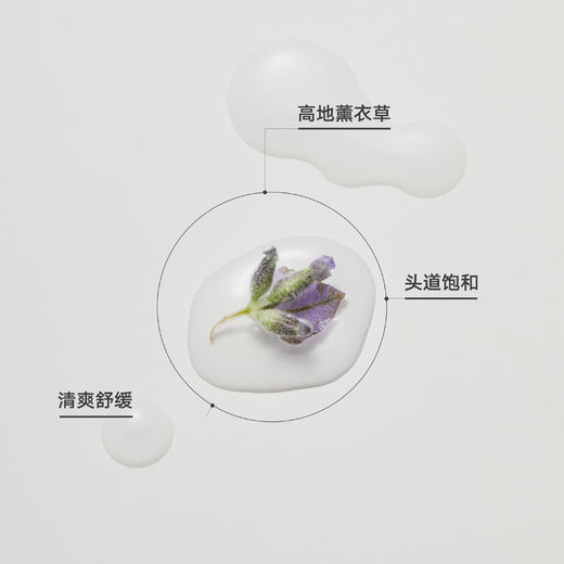 DAISY SKY雏菊的天空丨高地薰衣草纯露318ml 商品图3