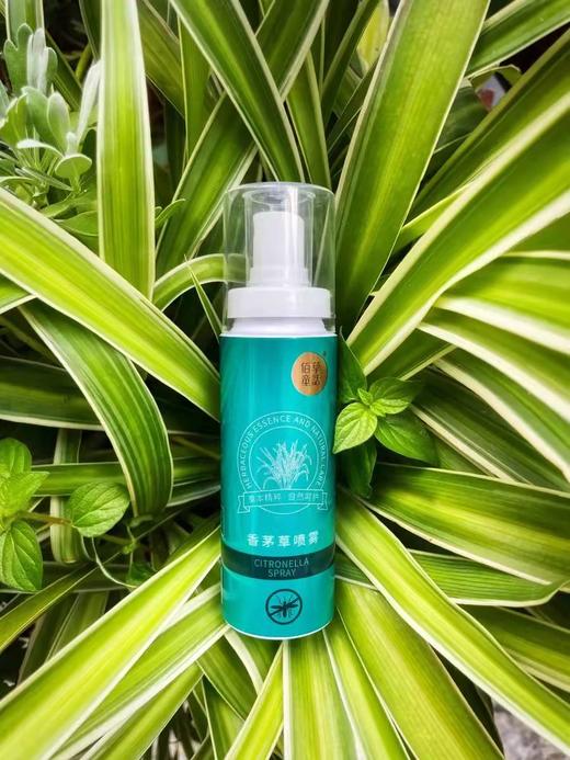 【香茅草驱蚊喷雾60ml*4瓶】佰草童话有效防蚊虫，植物精油成分，温和安全，老人小孩都可以使用，防蚊虫时间2-4小时【新疆西藏+15元】 商品图3