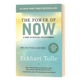 当下的力量 英文原版 The Power of Now 埃克哈特托利 Eckhart Tolle 励志成功激励畅销书 英文版进口原版英语书籍