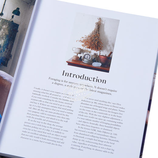 预售 【中商原版】The Foraged Home 英文原版 觅食之家 商品图3