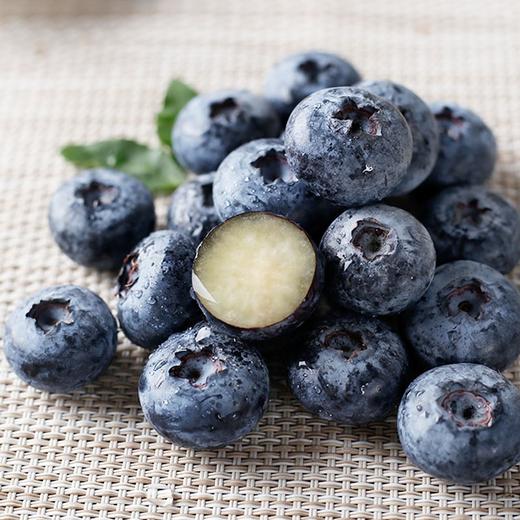 蓝美莓精品18m蓝莓王48元一盒