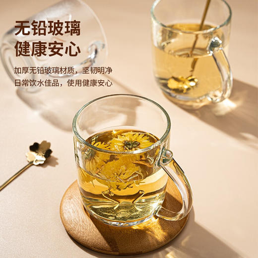 萌狐ins风玻璃牛奶杯带把水杯礼盒装情侣对杯酸奶杯喝水浮雕小狐狸玻璃杯麦片杯 透明萌狐杯两只装+樱花勺两只 商品图3